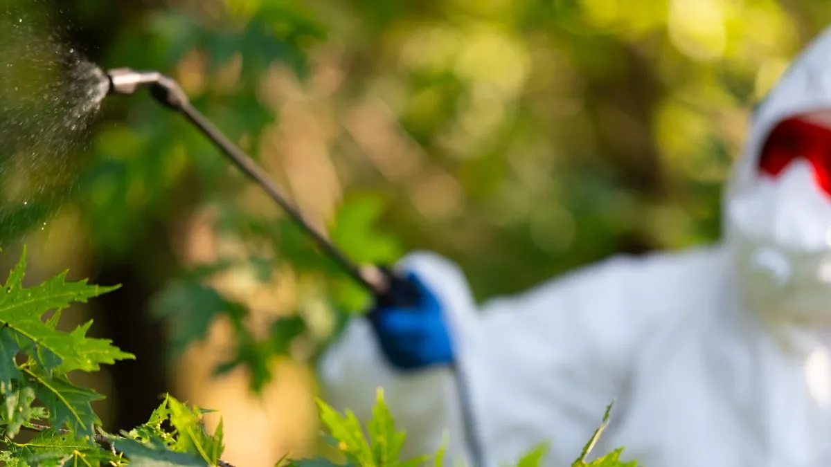 Résidus de pesticides : où trouver la limite légale d’un fruit et comment lire un résultat