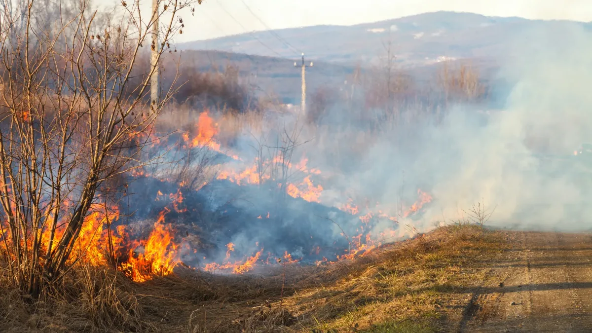 rescEU : comment un pays touché par un incendie obtient des avions européens